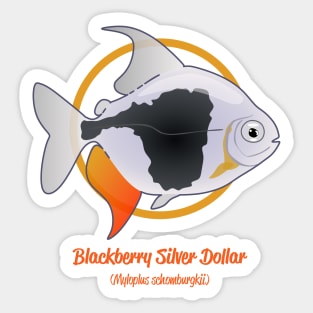 Blackberry Silver Dollar Sticker